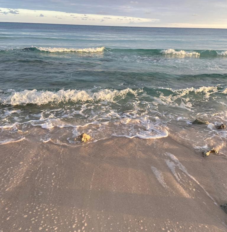 Seventh image of Lot-354 Ridgeway in Duncans, Trelawny, Jamaica - property is For Sale