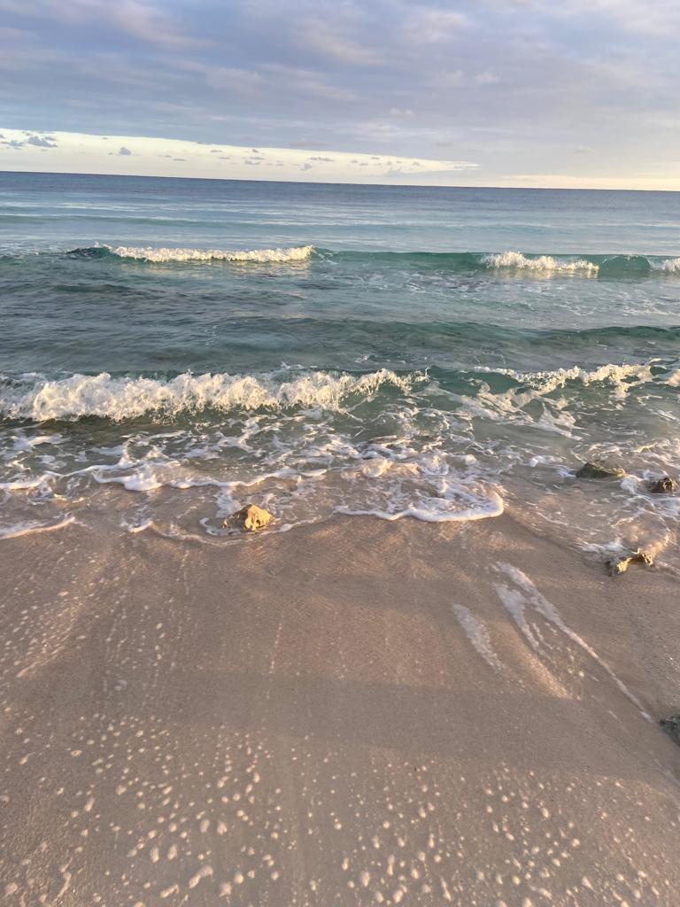 Seventh image of Lot-354 Ridgeway in Duncans, Trelawny, Jamaica - property is For Sale