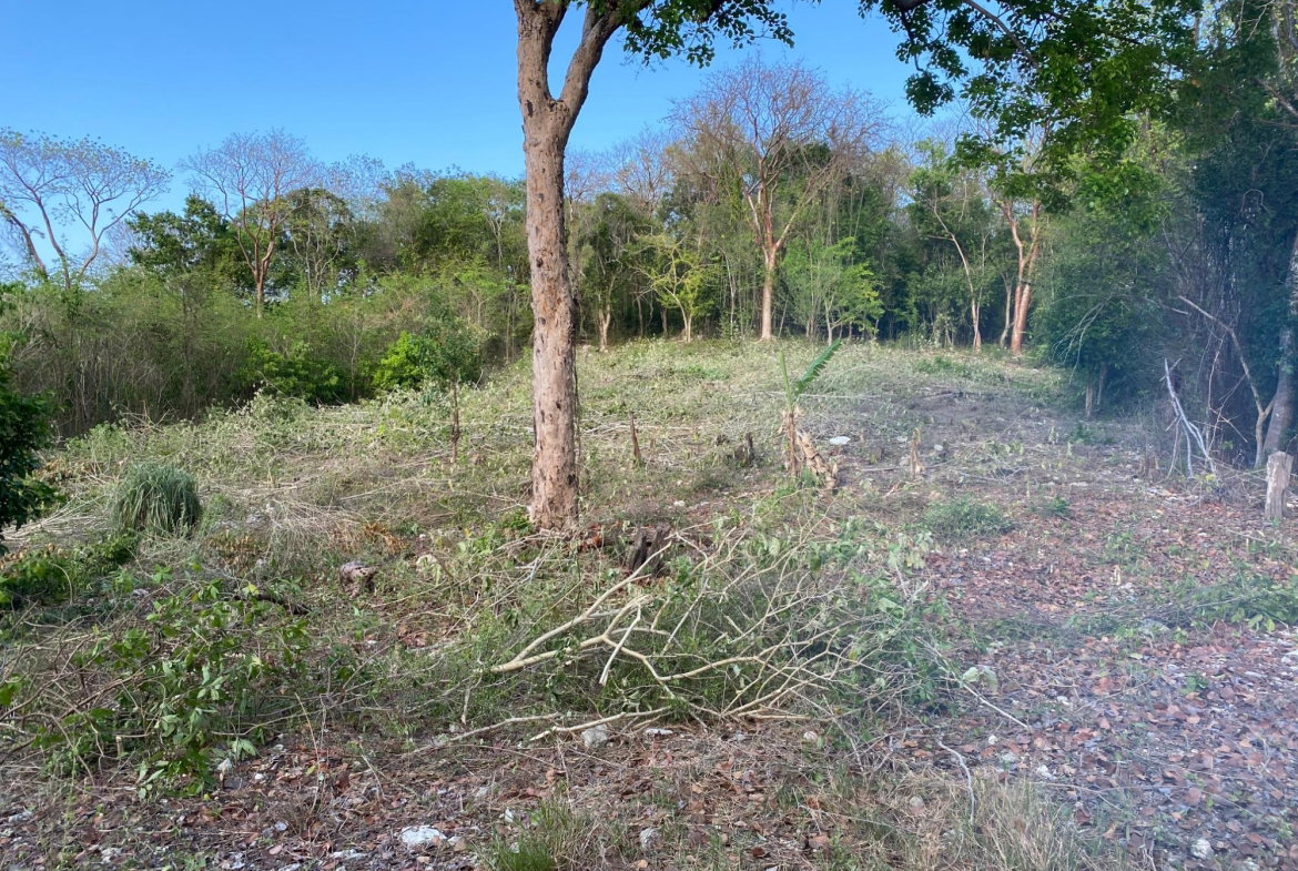 Eighth image of Lot 400 Runaway Road in DUNCAN BAY, Trelawny, Jamaica - property is For Sale