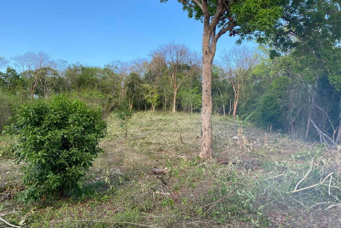 Ninth image of Lot 400 Runaway Road in DUNCAN BAY, Trelawny, Jamaica - property is For Sale