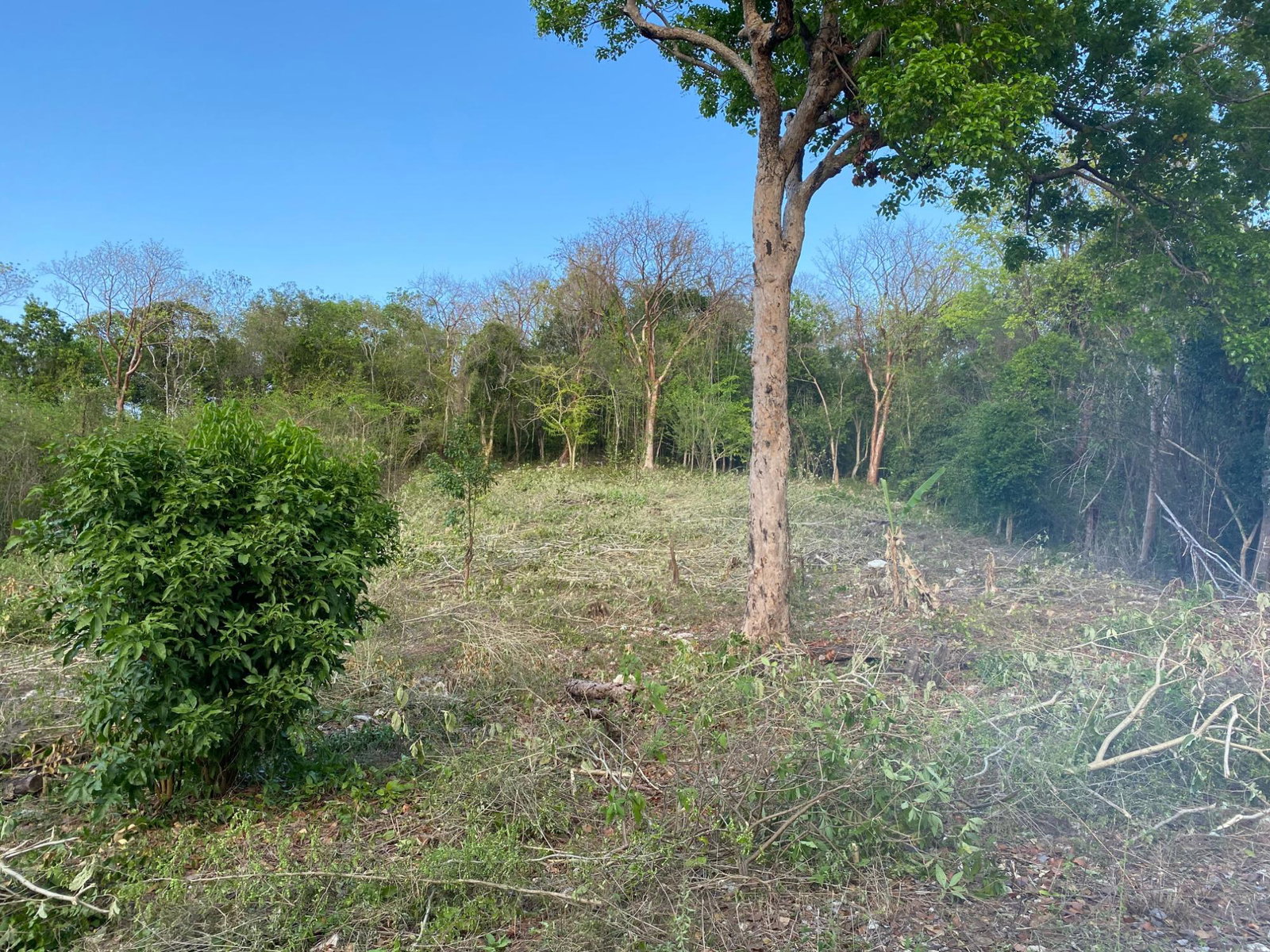 Ninth image of Lot 400 Runaway Road in DUNCAN BAY, Trelawny, Jamaica - property is For Sale