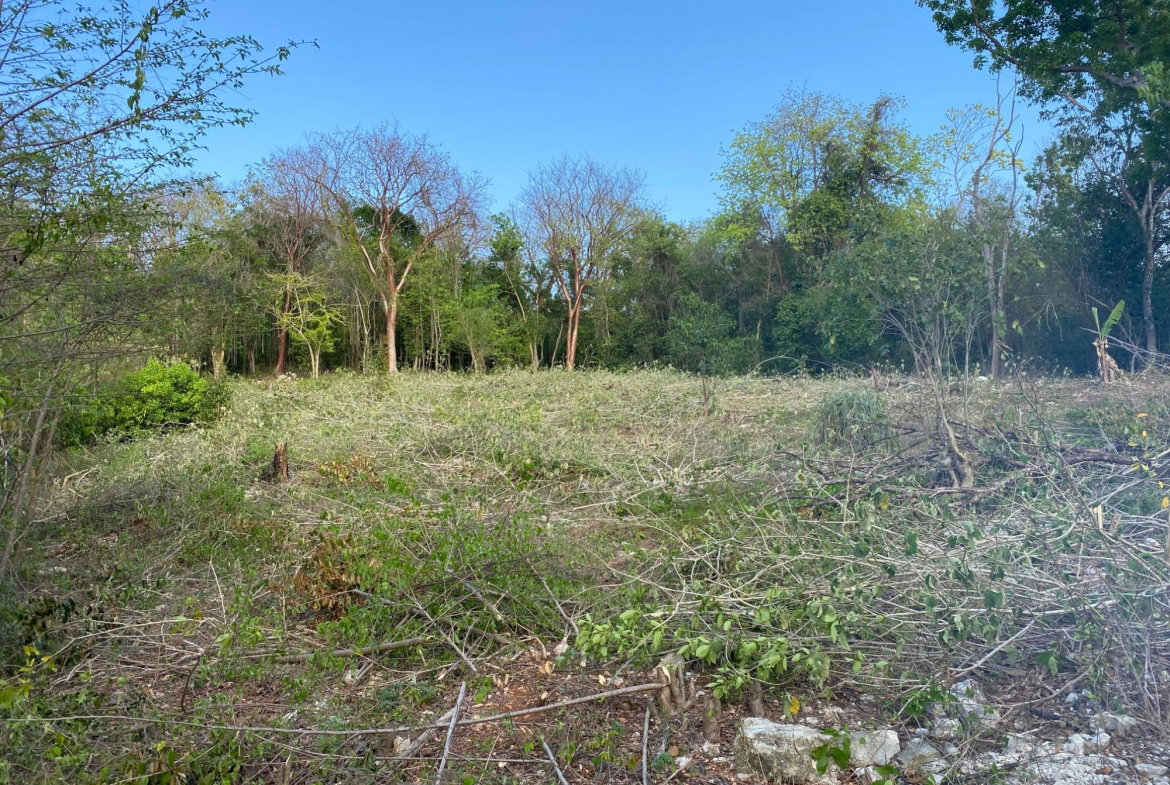 Tenth image of Lot 400 Runaway Road in DUNCAN BAY, Trelawny, Jamaica - property is For Sale
