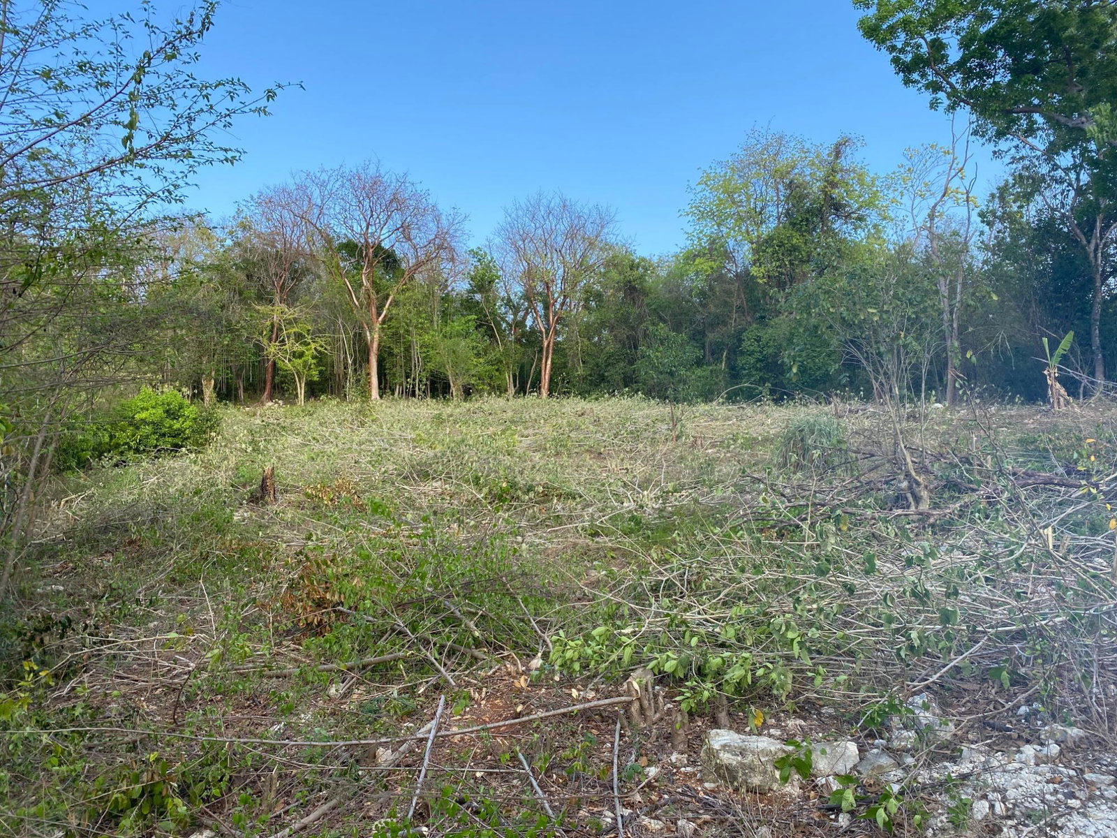 Tenth image of Lot 400 Runaway Road in DUNCAN BAY, Trelawny, Jamaica - property is For Sale