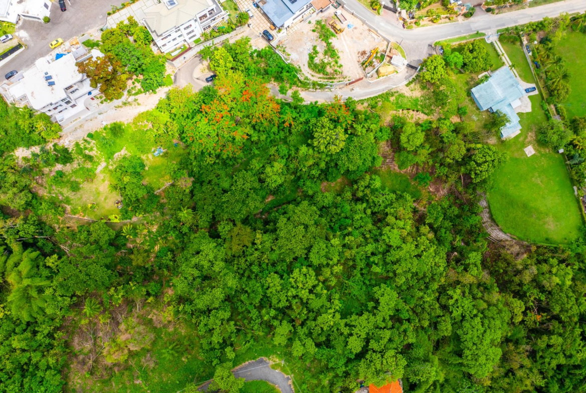 Eleventh image of 35 Millsborough Avenue in Kingston 6, St. Andrew, Jamaica - property is For Sale