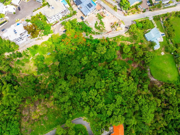 Eleventh image of 35 Millsborough Avenue in Kingston 6, St. Andrew, Jamaica - property is For Sale