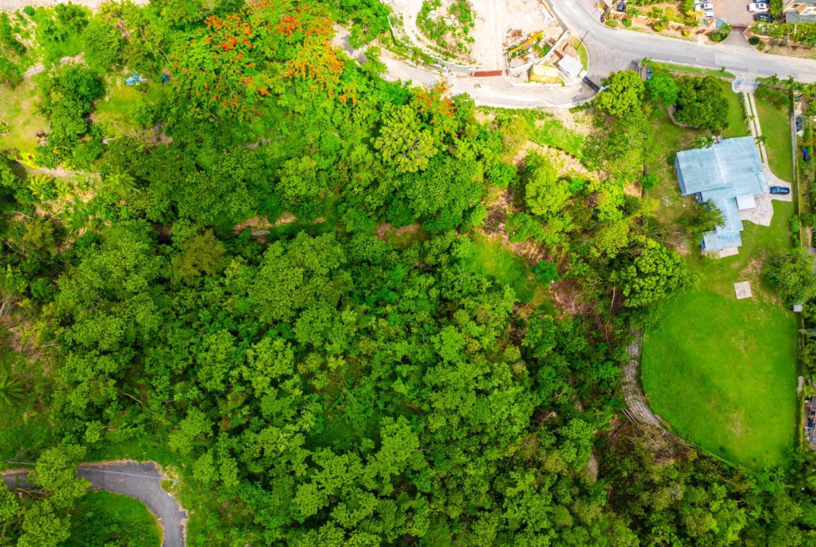 Twelfth image of 35 Millsborough Avenue in Kingston 6, St. Andrew, Jamaica - property is For Sale