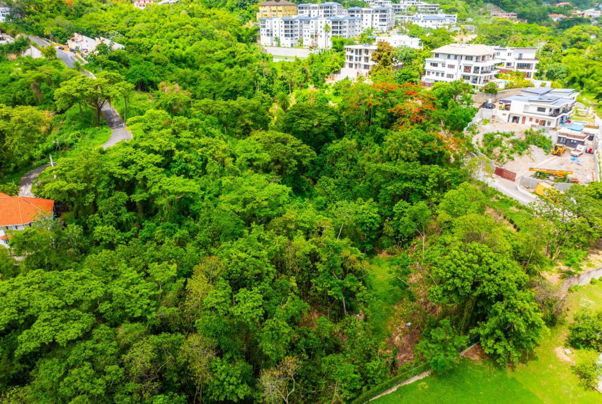 Fourteenth image of 35 Millsborough Avenue in Kingston 6, St. Andrew, Jamaica - property is For Sale