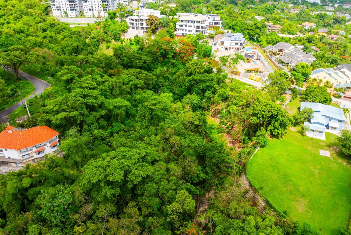Fifteenth image of 35 Millsborough Avenue in Kingston 6, St. Andrew, Jamaica - property is For Sale