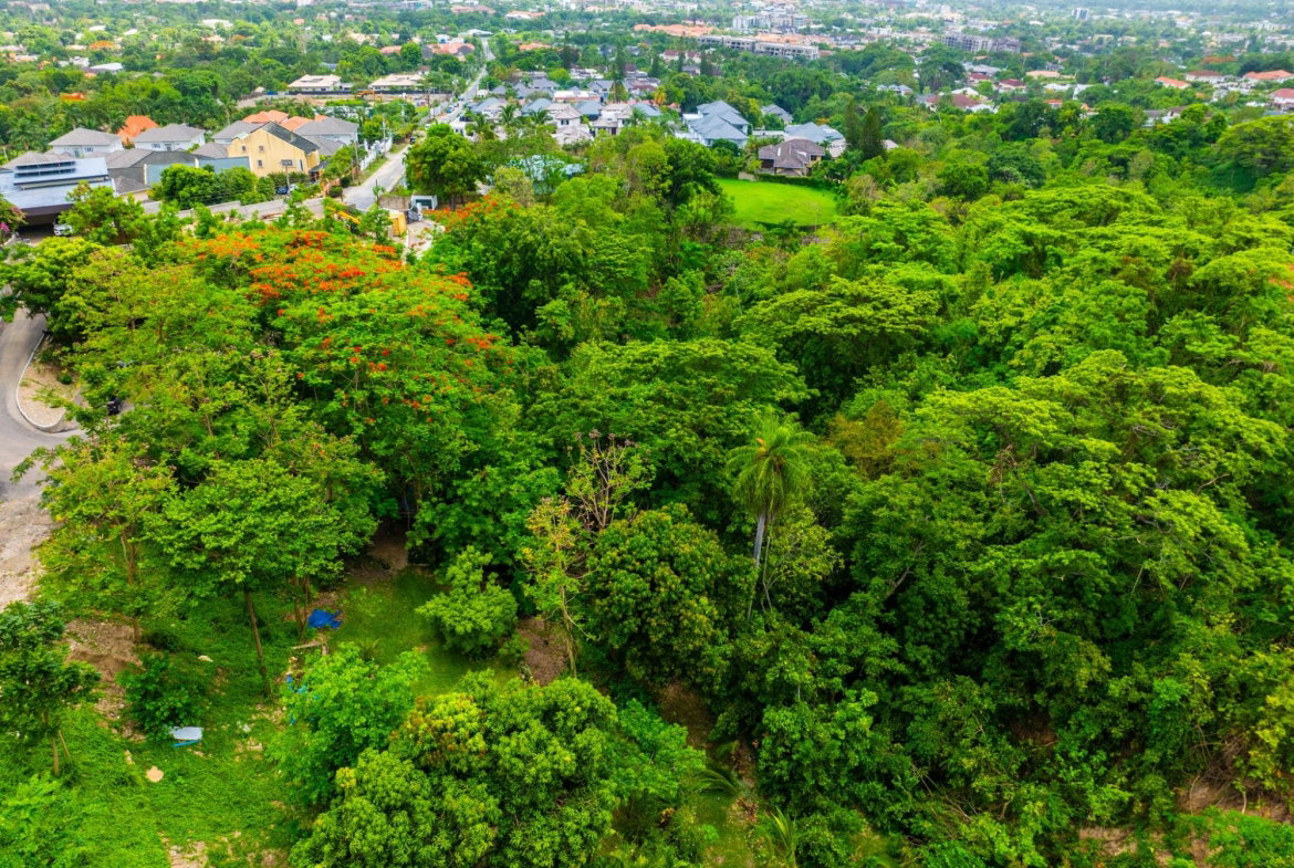 Ninth image of 35 Millsborough Avenue in Kingston 6, St. Andrew, Jamaica - property is For Sale