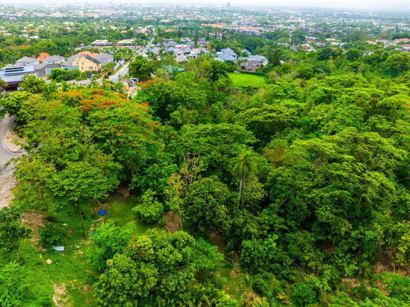 Ninth image of 35 Millsborough Avenue in Kingston 6, St. Andrew, Jamaica - property is For Sale
