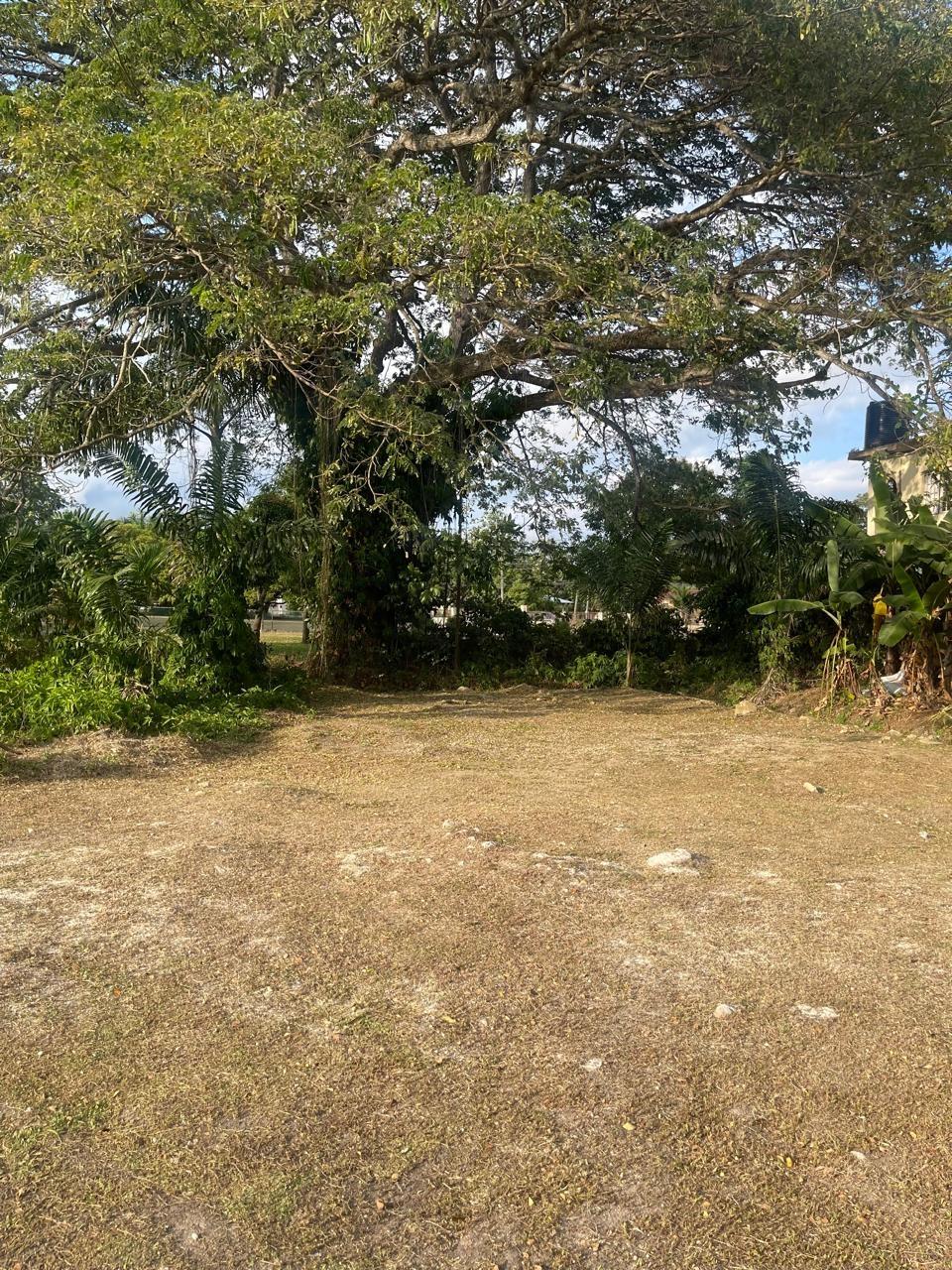 Eighth image of 2 Farm Pen, Savanna la Mar, in Farm Pen, Westmoreland, Jamaica - property is For Sale