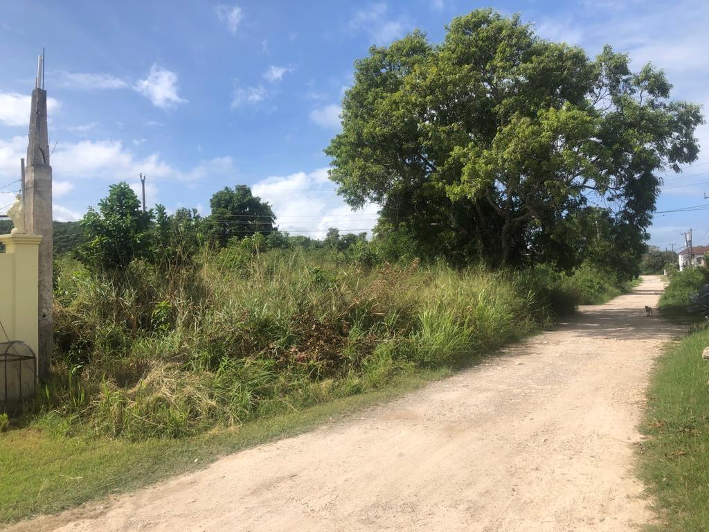 Second image of Lot 59 Flamingo Beach in Falmouth, Trelawny, Jamaica - property is For Sale