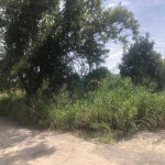 First image of Lot 59 Flamingo Beach in Falmouth, Trelawny, Jamaica - property is For Sale
