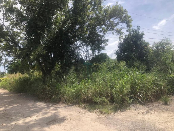 First image of Lot 59 Flamingo Beach in Falmouth, Trelawny, Jamaica - property is For Sale