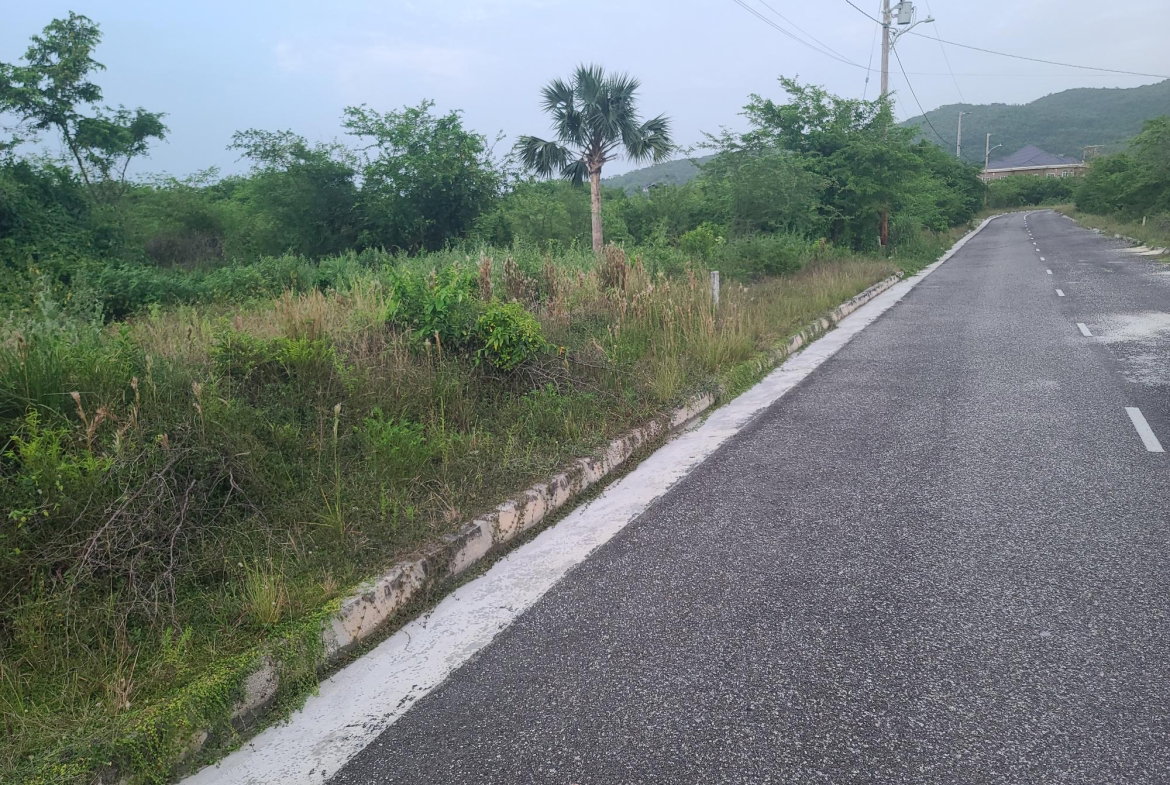 Eleventh image of Palmbrook Estate, Lacovia in Palm Brook Estate, St. Elizabeth, Jamaica - property is For Sale