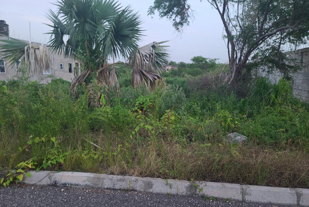 Twelfth image of Palmbrook Estate, Lacovia in Palm Brook Estate, St. Elizabeth, Jamaica - property is For Sale
