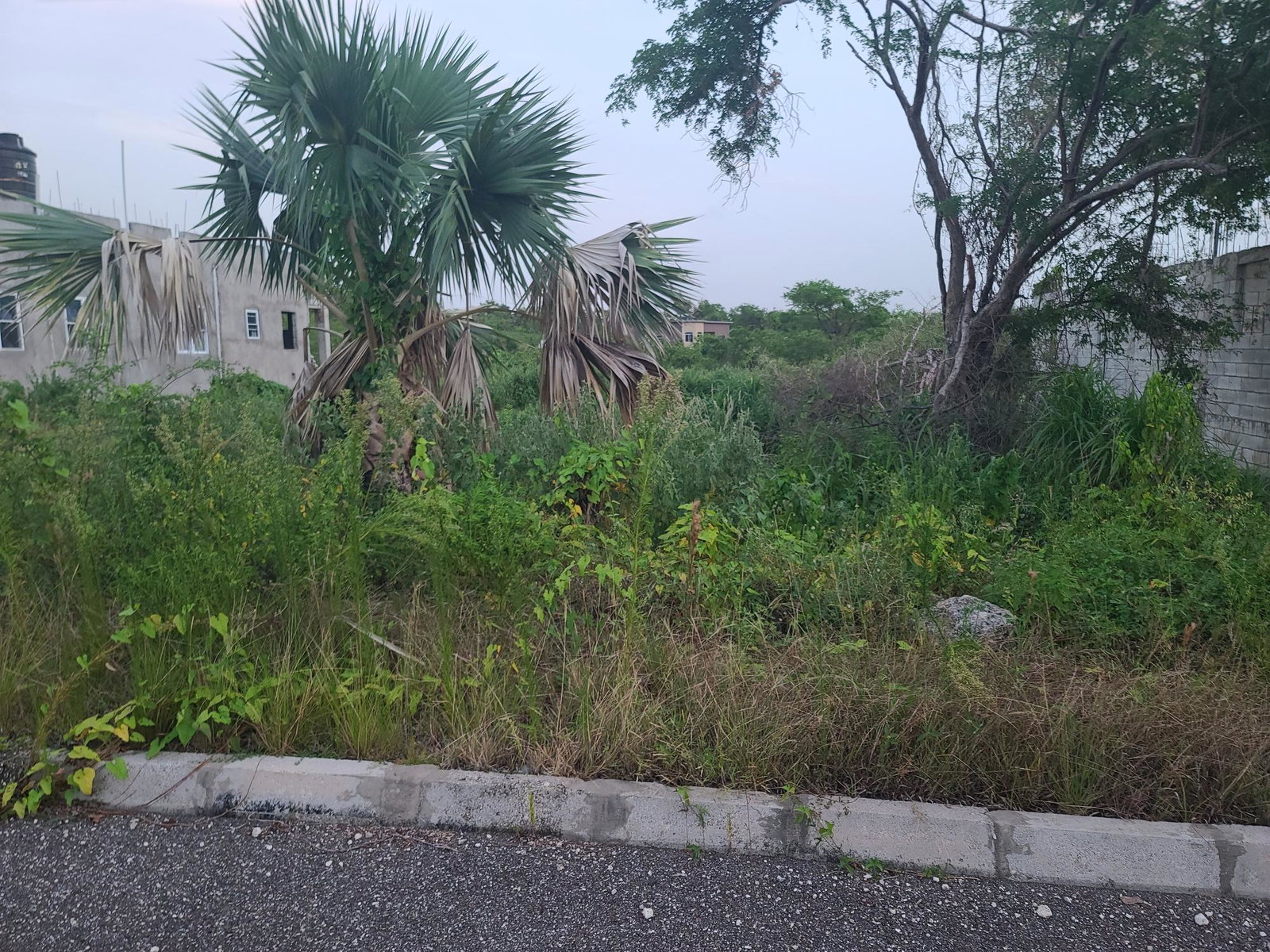 Twelfth image of Palmbrook Estate, Lacovia in Palm Brook Estate, St. Elizabeth, Jamaica - property is For Sale