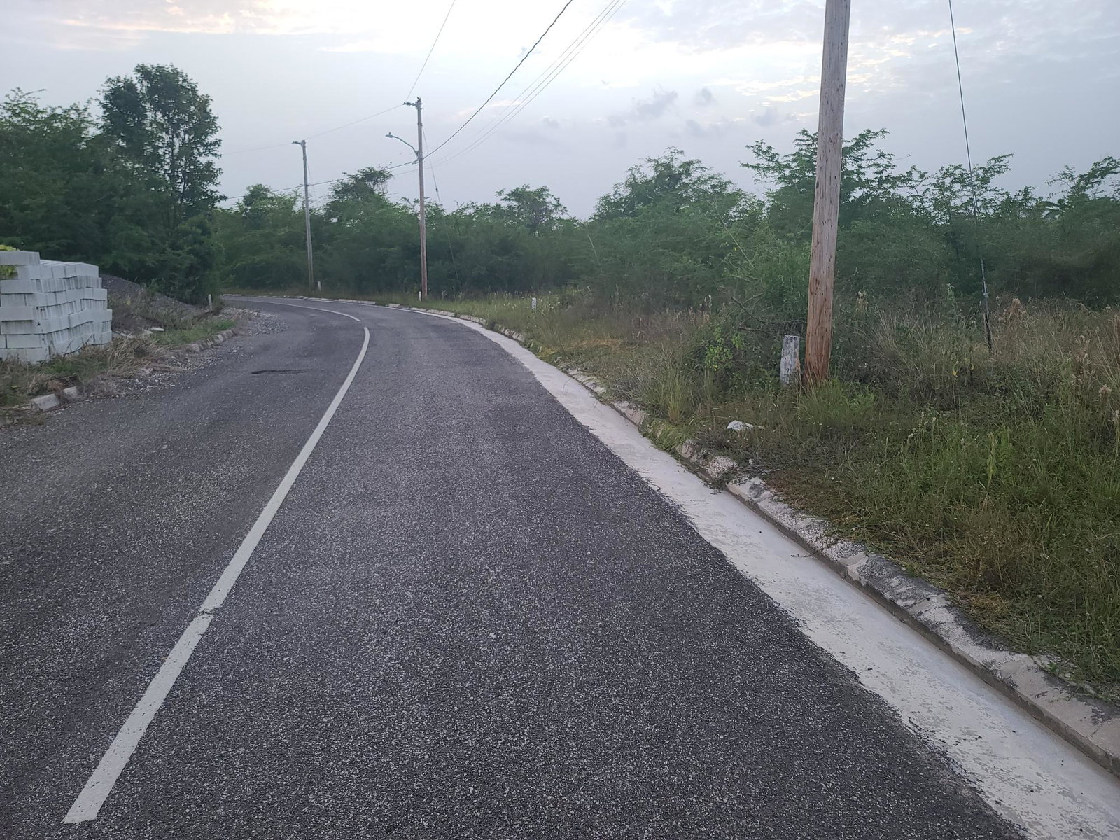 Fourth image of Palmbrook Estate, Lacovia in Palm Brook Estate, St. Elizabeth, Jamaica - property is For Sale