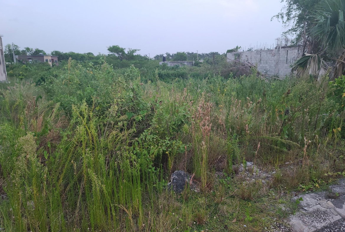 Fifth image of Palmbrook Estate, Lacovia in Palm Brook Estate, St. Elizabeth, Jamaica - property is For Sale