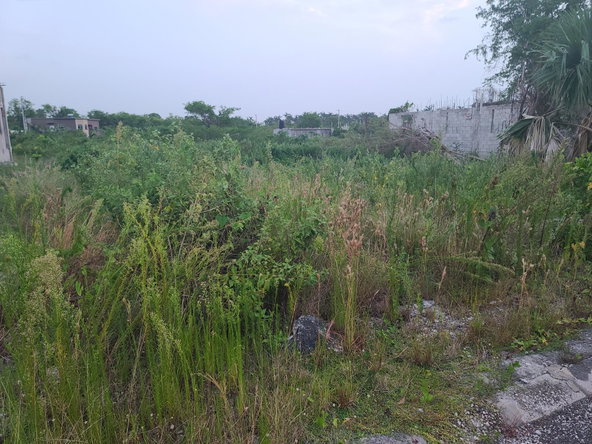 Fifth image of Palmbrook Estate, Lacovia in Palm Brook Estate, St. Elizabeth, Jamaica - property is For Sale