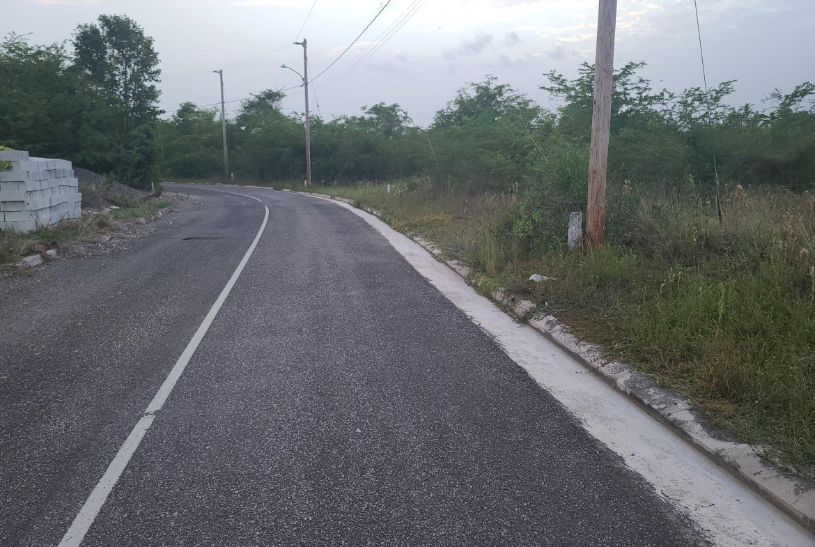 Eighth image of Palmbrook Estate, Lacovia in Palm Brook Estate, St. Elizabeth, Jamaica - property is For Sale