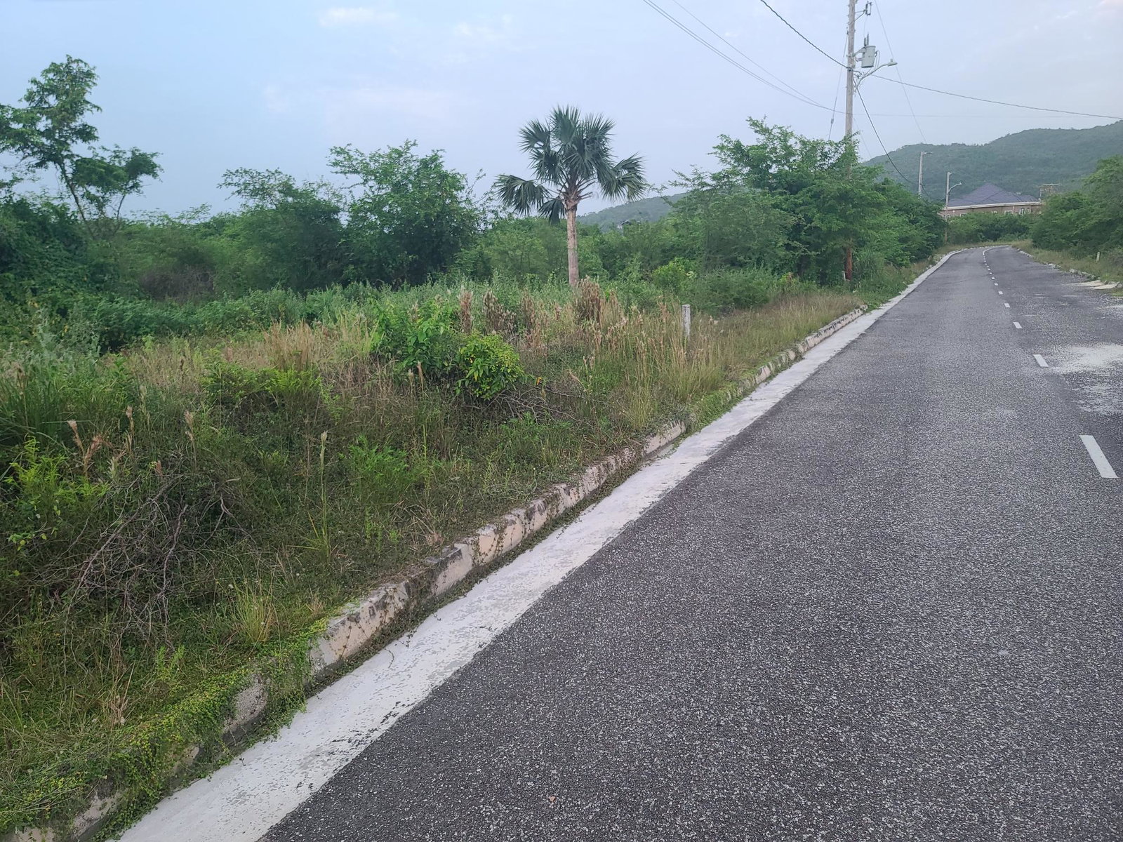Ninth image of Palmbrook Estate, Lacovia in Palm Brook Estate, St. Elizabeth, Jamaica - property is For Sale