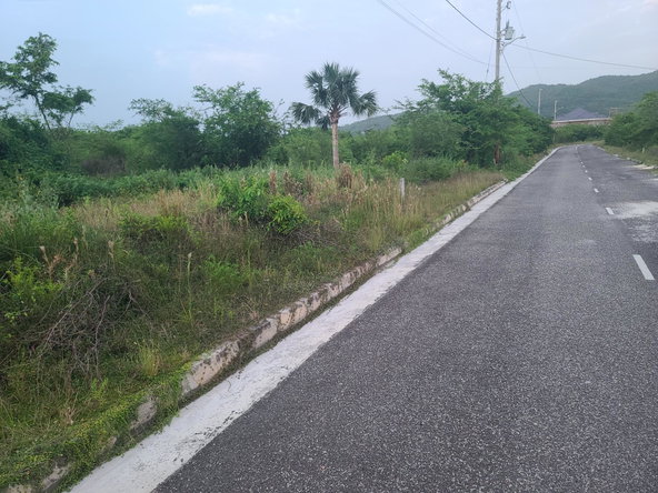 Ninth image of Palmbrook Estate, Lacovia in Palm Brook Estate, St. Elizabeth, Jamaica - property is For Sale