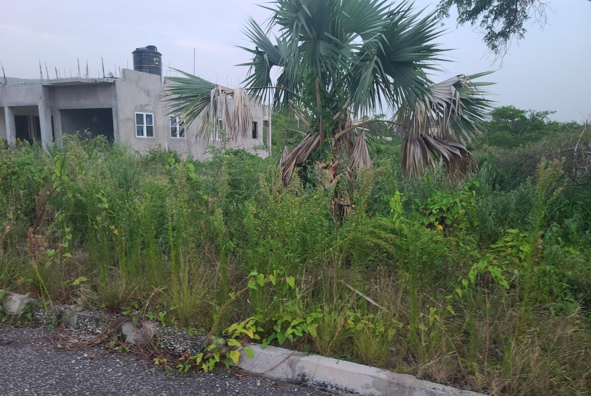 Tenth image of Palmbrook Estate, Lacovia in Palm Brook Estate, St. Elizabeth, Jamaica - property is For Sale