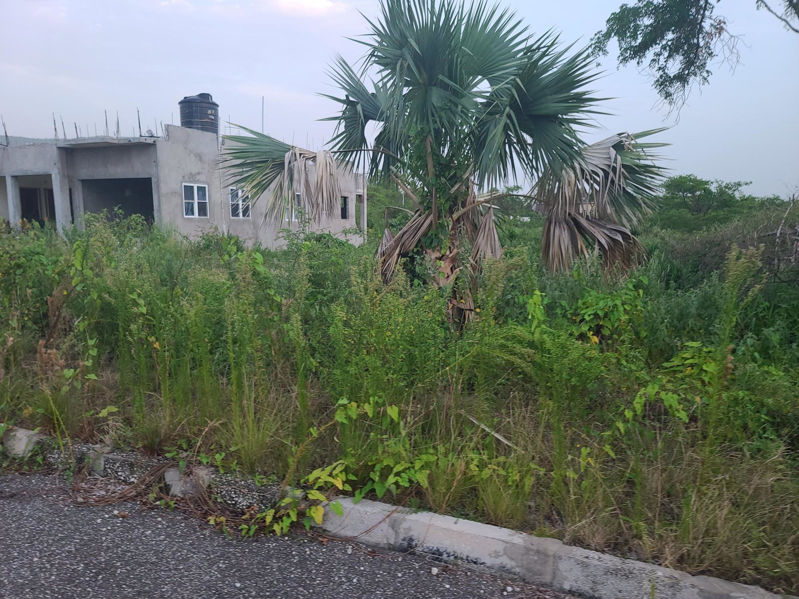 Tenth image of Palmbrook Estate, Lacovia in Palm Brook Estate, St. Elizabeth, Jamaica - property is For Sale