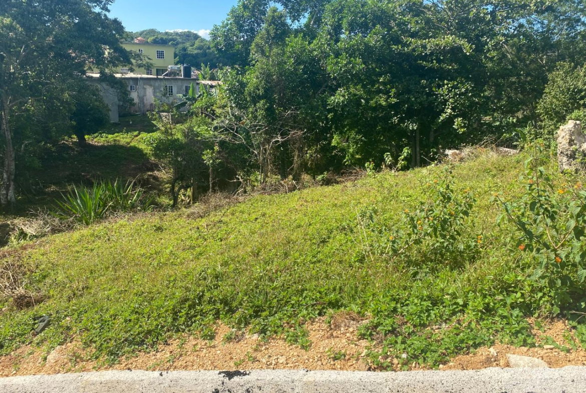 Second image of George Reid, Manchester in Hatfield, Manchester, Jamaica - property is For Sale
