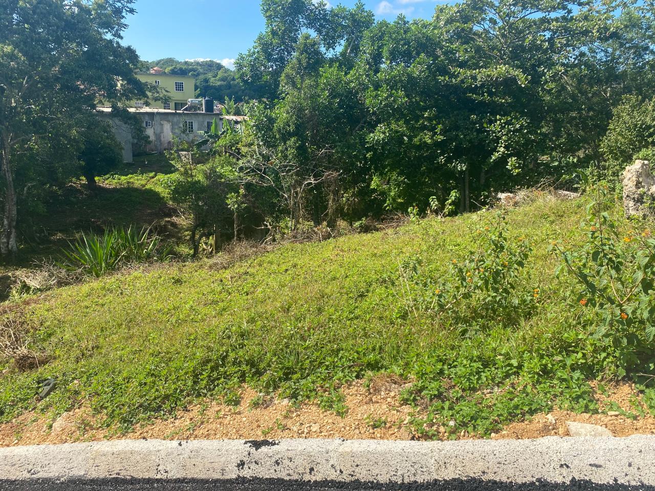 Prime-Residential-Lot-for-Sale-in-George-Reid-Manchester-Jamaica Second image of George Reid, Manchester in Hatfield, Manchester, Jamaica - property is For Sale