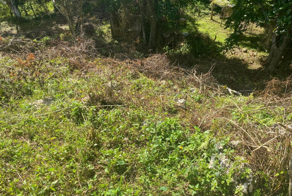 Third image of George Reid, Manchester in Hatfield, Manchester, Jamaica - property is For Sale