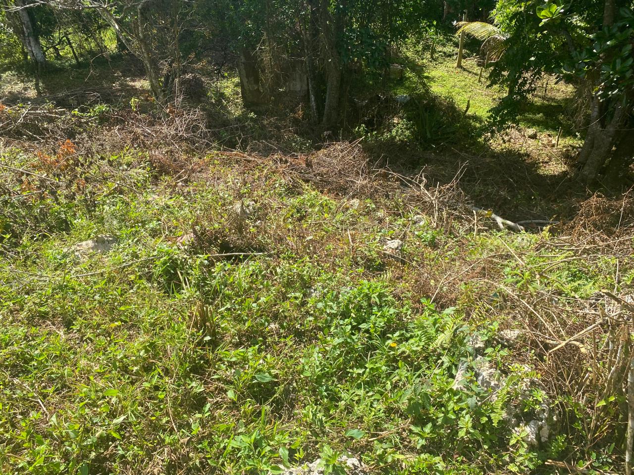 Prime-Residential-Lot-for-Sale-in-George-Reid-Manchester-Jamaica Third image of George Reid, Manchester in Hatfield, Manchester, Jamaica - property is For Sale