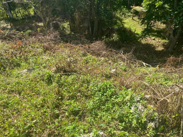 Third image of George Reid, Manchester in Hatfield, Manchester, Jamaica - property is For Sale