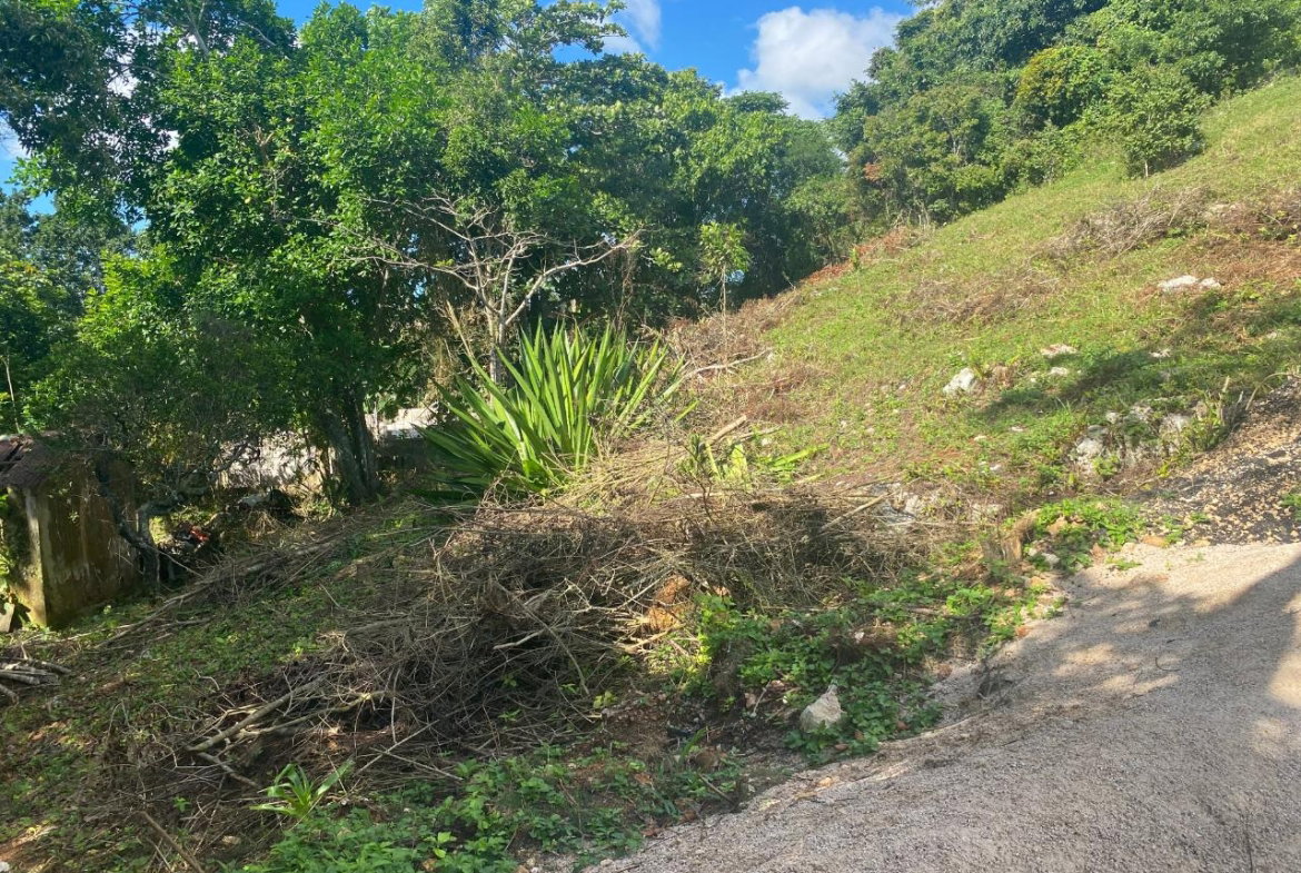 Fourth image of George Reid, Manchester in Hatfield, Manchester, Jamaica - property is For Sale