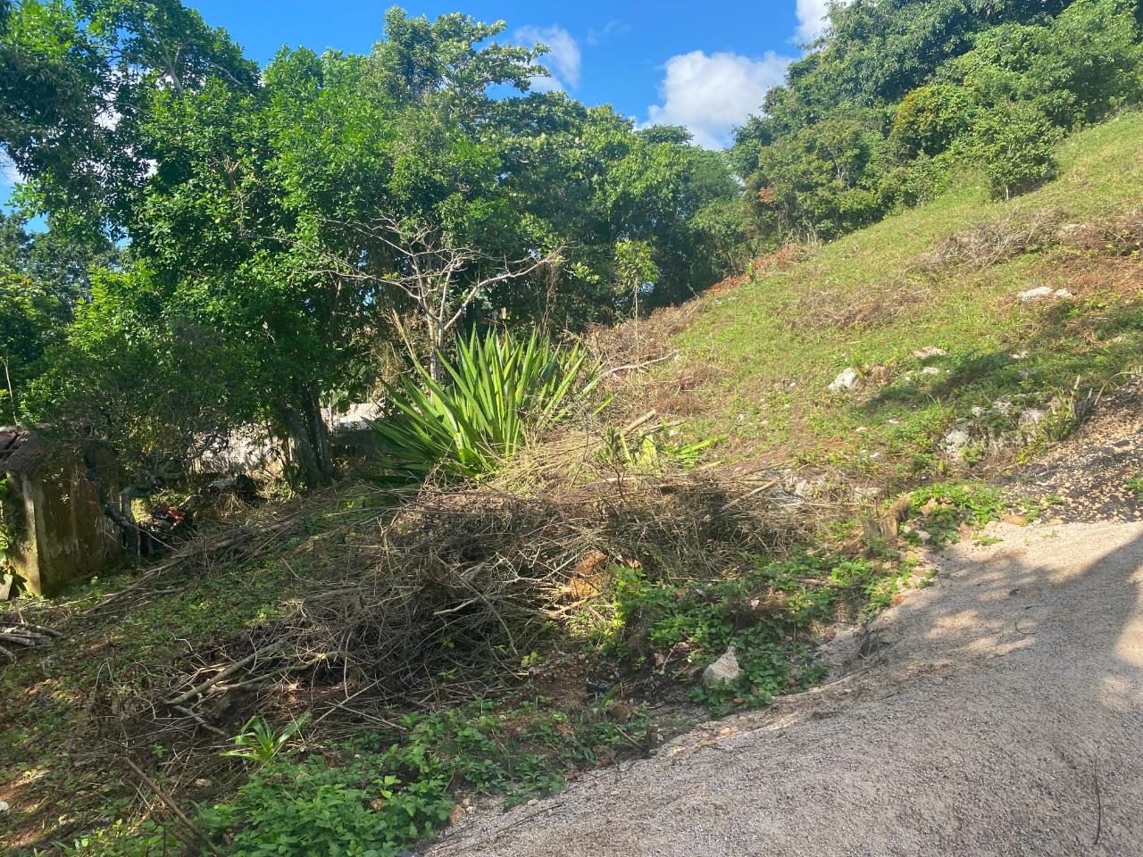 Prime-Residential-Lot-for-Sale-in-George-Reid-Manchester-Jamaica Fourth image of George Reid, Manchester in Hatfield, Manchester, Jamaica - property is For Sale