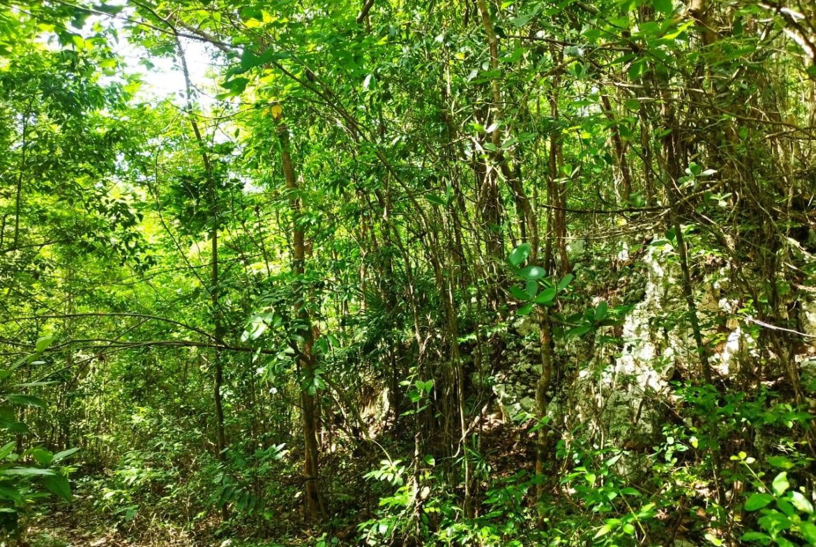 First image of Glade, in Caymanas Estates, St. Catherine, Jamaica - property is For Sale