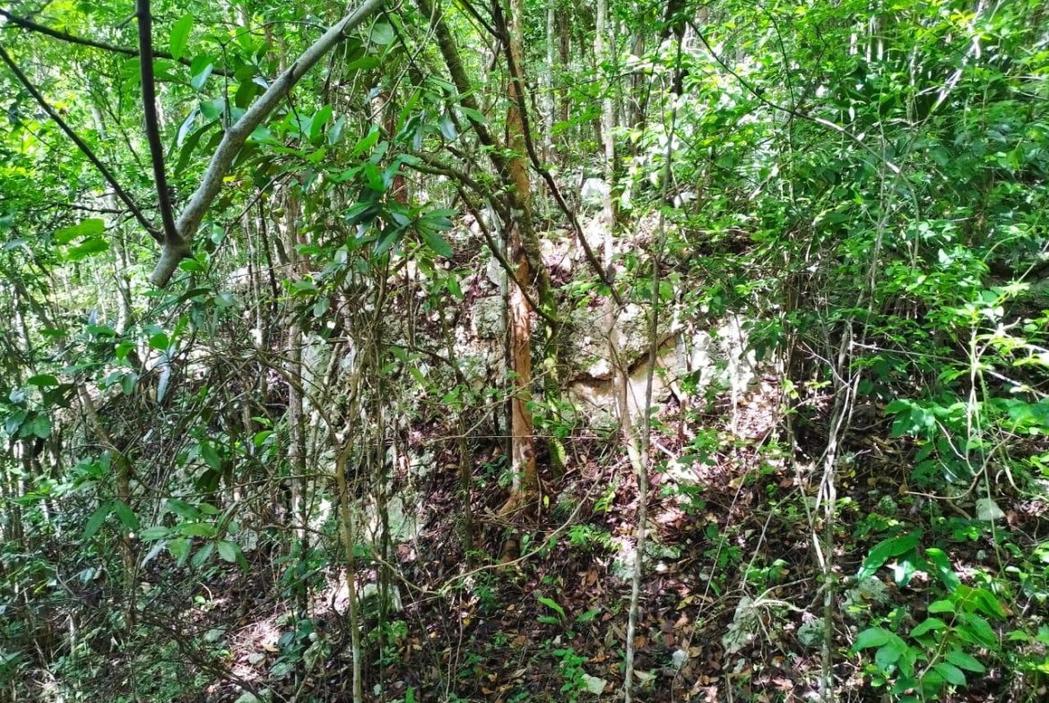 Fourth image of Glade, in Caymanas Estates, St. Catherine, Jamaica - property is For Sale