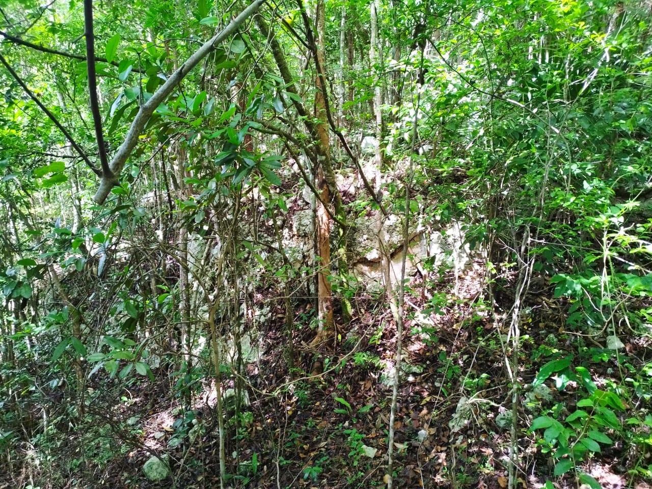 Fourth image of Glade, in Caymanas Estates, St. Catherine, Jamaica - property is For Sale