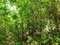 First image of Glade, in Caymanas Estates, St. Catherine, Jamaica - property is For Sale