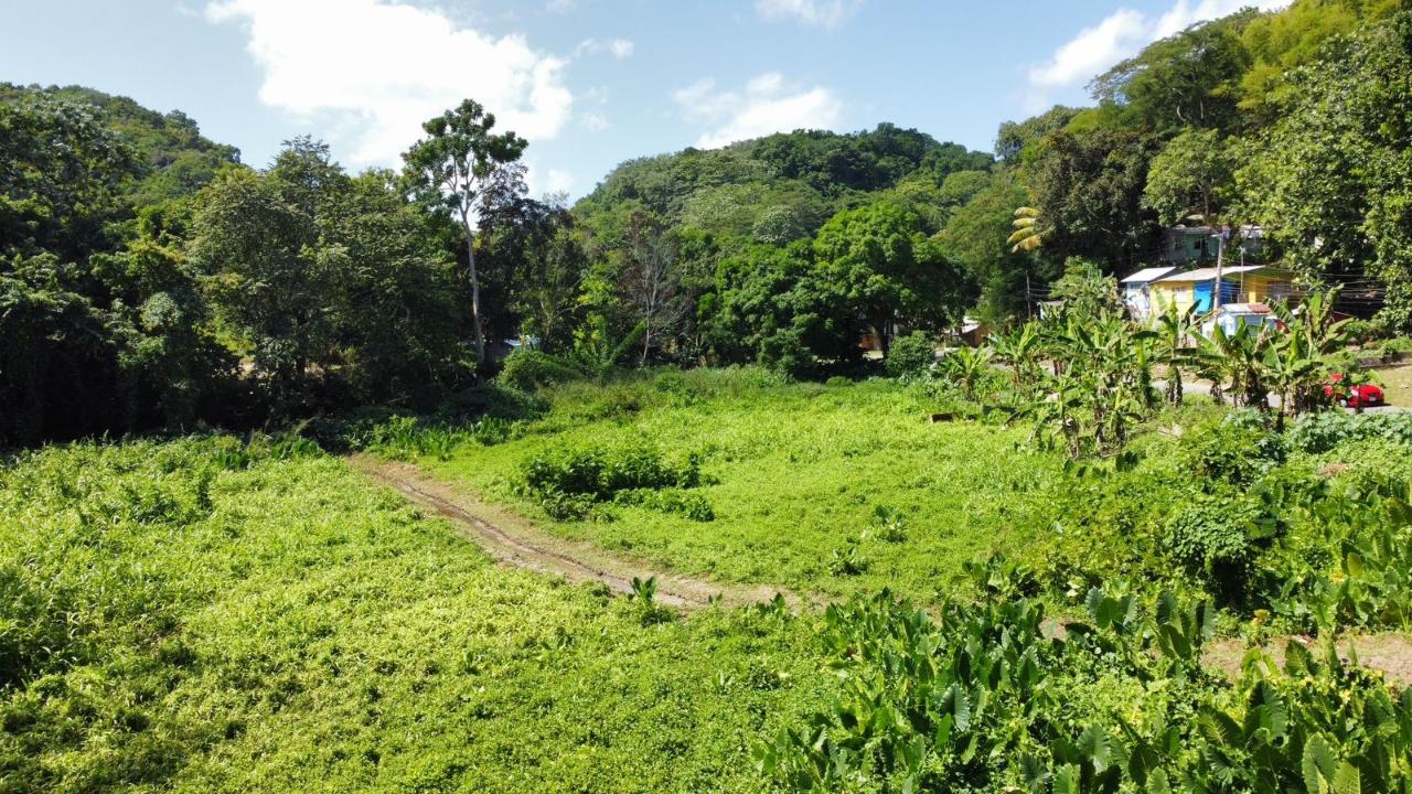 Second image of 105- Winchester Estates in Green Island, Hanover, Jamaica - property is For Sale