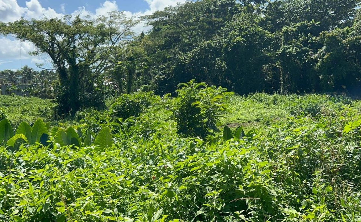 Eleventh image of 105- Winchester Estates in Green Island, Hanover, Jamaica - property is For Sale