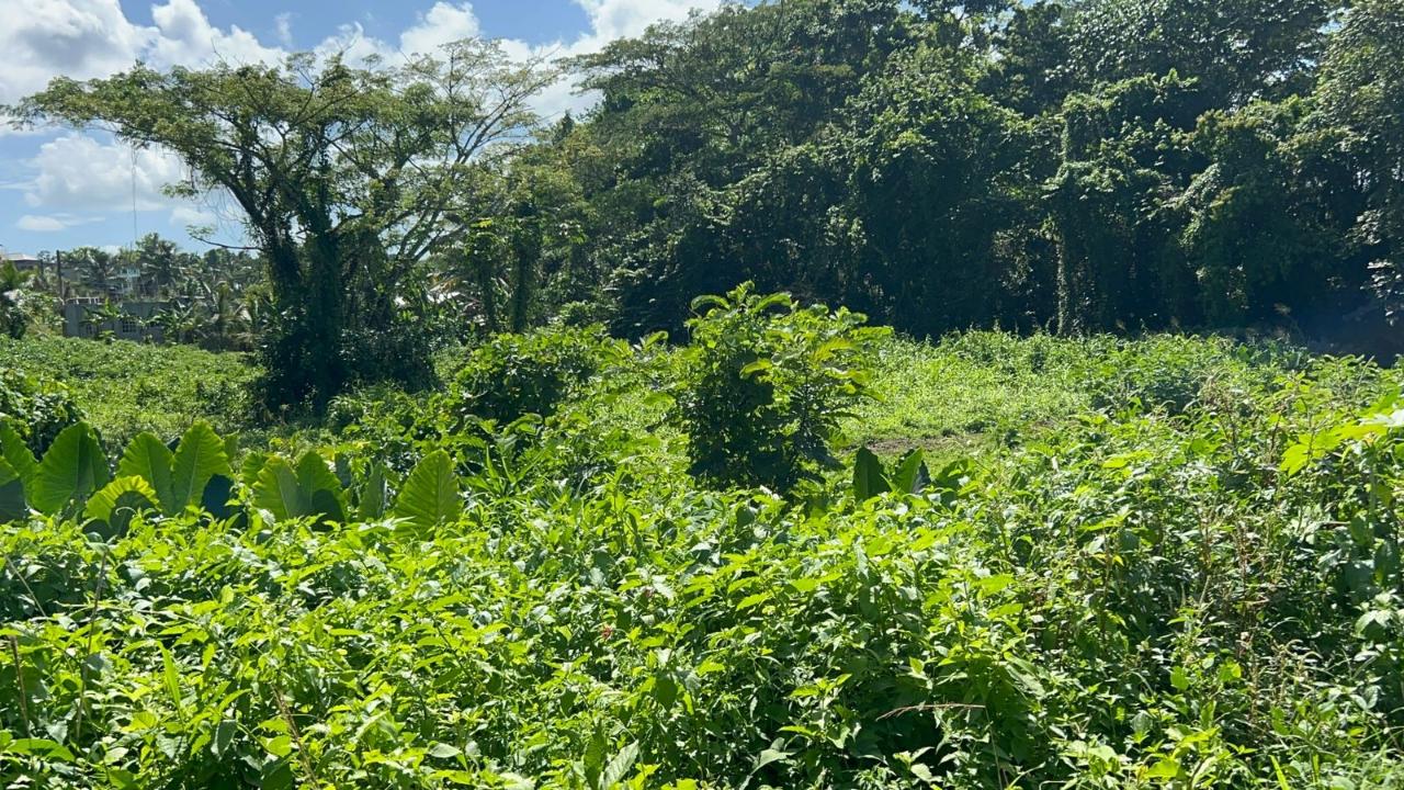 Eleventh image of 105- Winchester Estates in Green Island, Hanover, Jamaica - property is For Sale