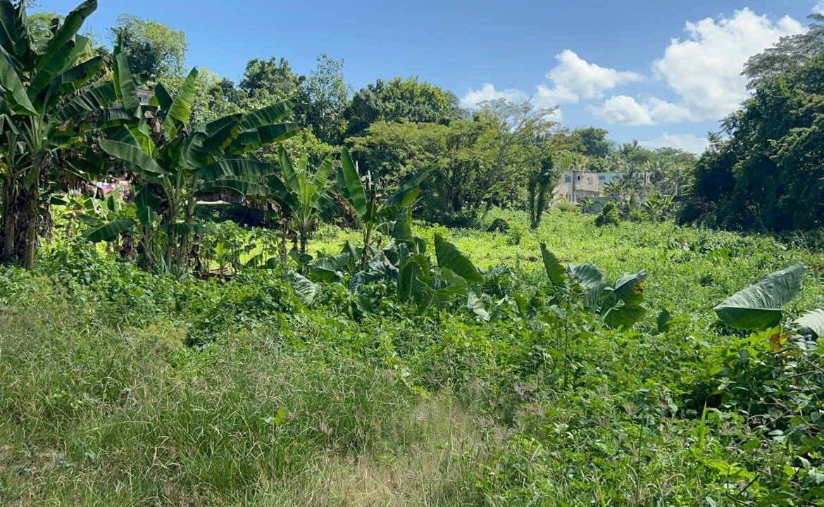 Twelfth image of 105- Winchester Estates in Green Island, Hanover, Jamaica - property is For Sale