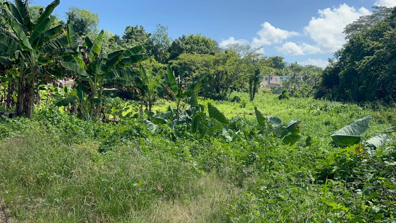 Twelfth image of 105- Winchester Estates in Green Island, Hanover, Jamaica - property is For Sale
