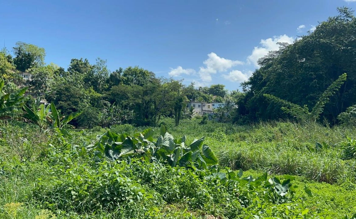 Fourteenth image of 105- Winchester Estates in Green Island, Hanover, Jamaica - property is For Sale