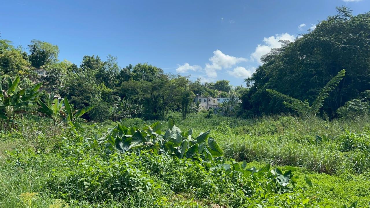 Fourteenth image of 105- Winchester Estates in Green Island, Hanover, Jamaica - property is For Sale