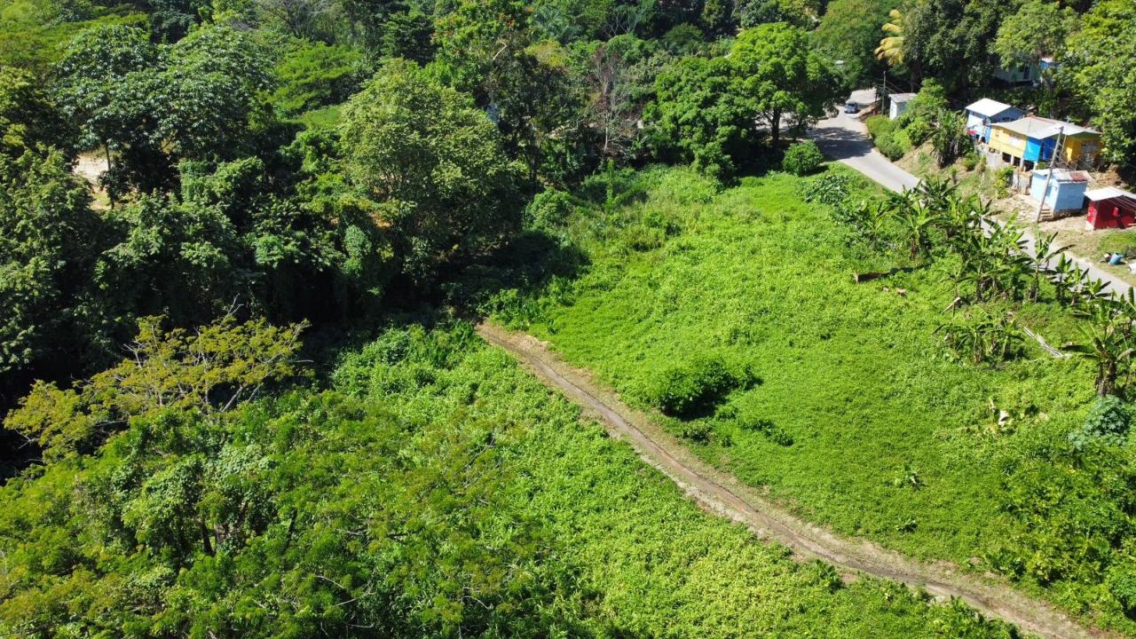 Seventh image of 105- Winchester Estates in Green Island, Hanover, Jamaica - property is For Sale