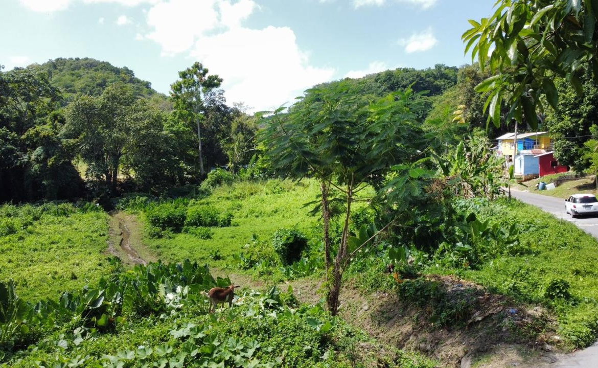 Eighth image of 105- Winchester Estates in Green Island, Hanover, Jamaica - property is For Sale