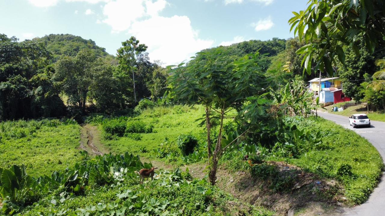 Eighth image of 105- Winchester Estates in Green Island, Hanover, Jamaica - property is For Sale